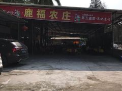 -鹿福农庄(南沙天后宫店)