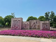 -顾村公园