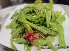 -富来美食