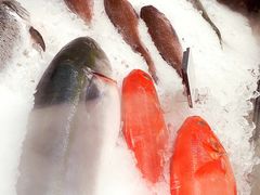 -T11生鲜超市(朝阳公园店)