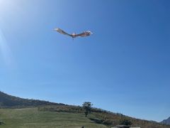 -潭柘厚院&山顶烤肉(潭柘寺店)