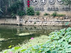 -卫鼎轩·家宴(水上公园店)
