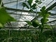 -兰陵国家农业公园