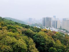 -宝通禅寺
