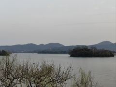 -楼外楼(西湖景区孤山路店)