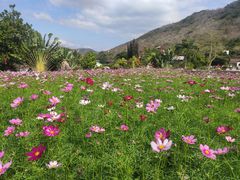 -三亚南山文化旅游区