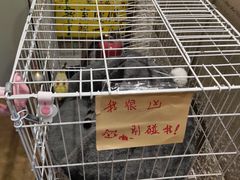 -逃脱反斗城沉浸剧情密室(北京路店)