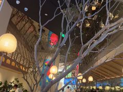 -桂满陇·海市蜃楼·黑金(国金店)