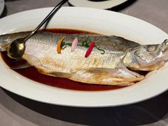 清蒸白水鱼-醉庐·新上海菜(南京西路店)