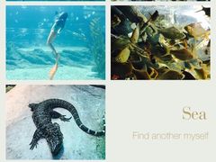 -福州罗源湾海洋世界旅游区