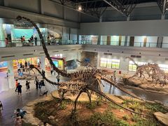 -自贡恐龙博物馆