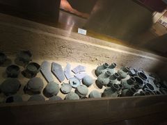 -洛阳周王城天子驾六博物馆