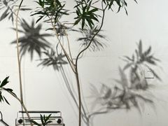 -孟林厨房(798店)