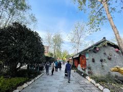 -合肥滨湖国家森林公园