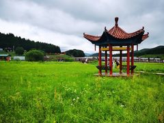 -塞罕坝国家级自然保护区