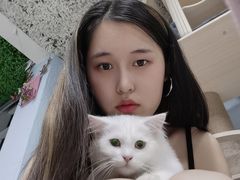 -喵百万·布偶·蓝金金渐层英短·猫舍(百子湾店)