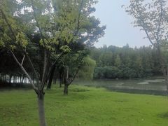 -贡湖湾湿地公园