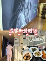 -艾薇朵朵全套房月子中心(江宁店)