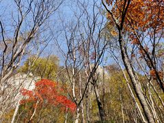 -龙峪湾国家森林公园