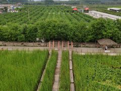 -河北村民俗体验园