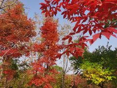 -吉林大学(南岭校区)