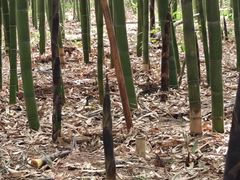 -同里国家湿地公园