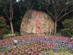 -野狸岛