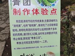 -大鄣山卧龙谷景区