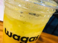 医生说-Wagas(凤凰汇店)