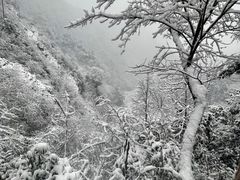 -九峰山