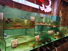 水产区-云天楼国鼎喜宴中心(国鼎店)