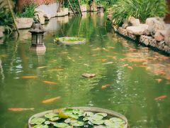 -厦门日月谷温泉渡假村