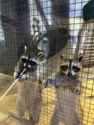 -酷嗒动物文化乐园(cutezoo西溪乐天城店)