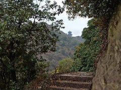 -杭州半山国家森林公园