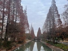 -上海交通大学(闵行校区)