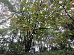 -汇龙潭