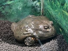 -上海大自然野生昆虫馆