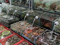 -大熊海鮮餐廳(富基漁港在地老店，僅此一家)