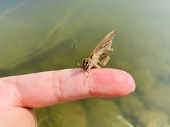 -宁波九龙湖开元度假村