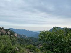 -大岭沟猕猴桃谷风景区