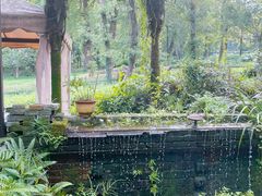 -野蔓果·山野菜(西湖景区·龙井茶田店)