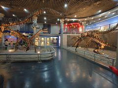 -国家自然博物馆