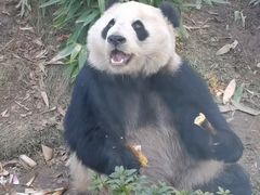 -武汉动物园
