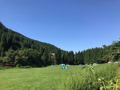 -武陵山森林公园