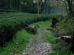 -莫干山风景区