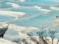 -黄龙山原始森林景区