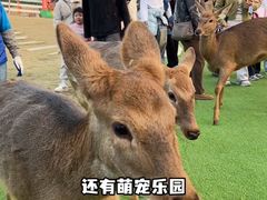 -盈香心动乐园