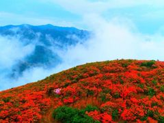 -大围山国家森林公园