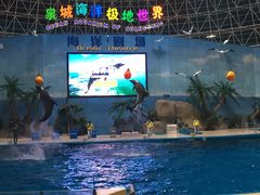 -泉城欧乐堡海洋极地世界