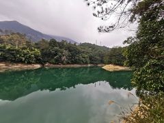 -广州市流溪河国家森林公园